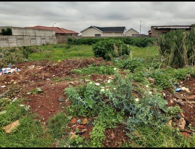 LAND FOR SALE IN VILLA LIZA